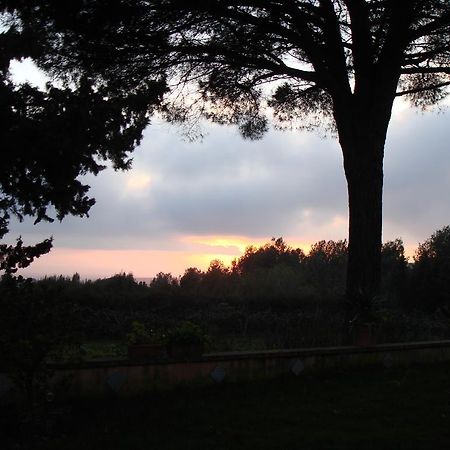 Bed and Breakfast Ai Cipressi Salemi Экстерьер фото
